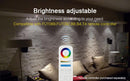 15W RGB+CCT Waterproof LED Downlight