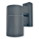 Coral Down Wall Light